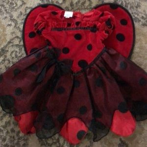 9-12 mo infant ladybug/love bug Halloween costume